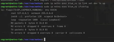 ifconfig-netns