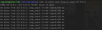 ping-netns