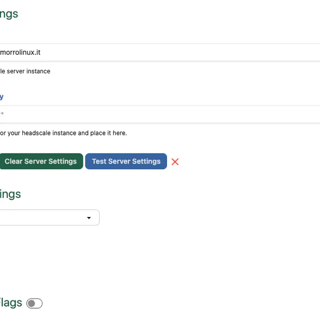 How to setup a containerized Headscale Server with HTTPS and UI