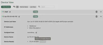 subnet-router